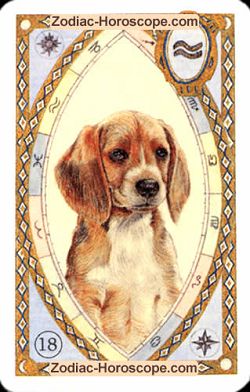 The dog, monthly Love and Health horoscope May Gemini