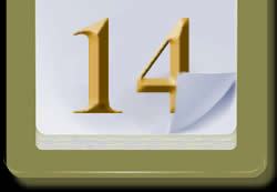 Daily Gemini horoscope 14