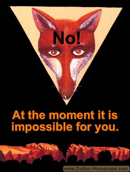 The fox answers no