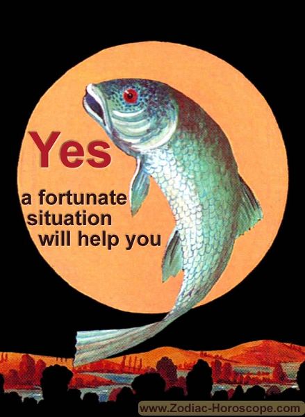The fish answers yes