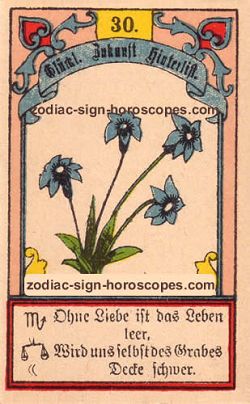 The lily, monthly Gemini horoscope October